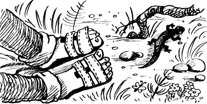 Иллюстрация к книге — Соло на водонапорной башне [i_008.jpg]