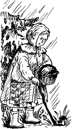 Иллюстрация к книге — Соло на водонапорной башне [i_062.jpg]