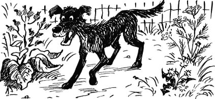 Иллюстрация к книге — Соло на водонапорной башне [i_066.jpg]