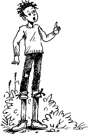 Иллюстрация к книге — Соло на водонапорной башне [i_071.jpg]