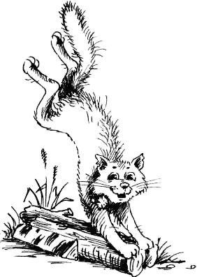 Иллюстрация к книге — Соло на водонапорной башне [i_079.jpg]