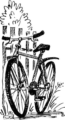 Иллюстрация к книге — Соло на водонапорной башне [i_083.jpg]