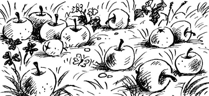 Иллюстрация к книге — Соло на водонапорной башне [i_084.jpg]