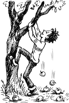 Иллюстрация к книге — Соло на водонапорной башне [i_086.jpg]