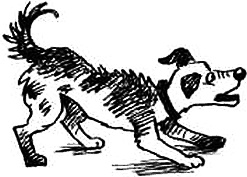 Иллюстрация к книге — Соло на водонапорной башне [i_115.jpg]