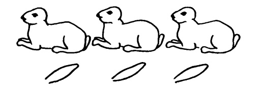 Иллюстрация к книге — Головоломки профессора Головоломки: сборник загадок, фокусов и занимательных задач [i_010.jpg]