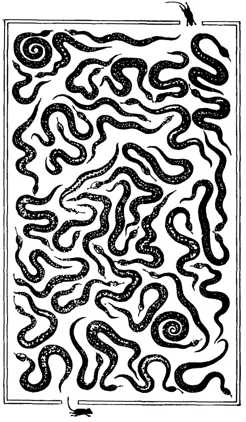 Иллюстрация к книге — Головоломки профессора Головоломки: сборник загадок, фокусов и занимательных задач [i_026.jpg]