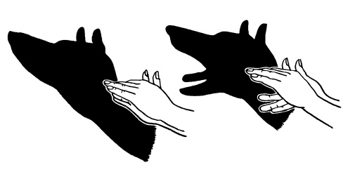 Иллюстрация к книге — Головоломки профессора Головоломки: сборник загадок, фокусов и занимательных задач [i_030.jpg]