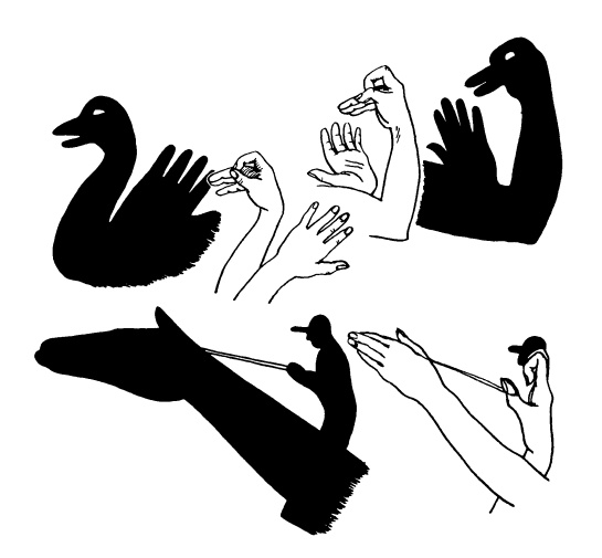 Иллюстрация к книге — Головоломки профессора Головоломки: сборник загадок, фокусов и занимательных задач [i_031.jpg]