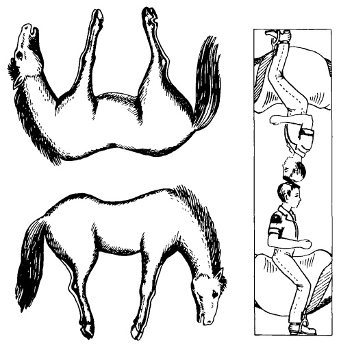 Иллюстрация к книге — Головоломки профессора Головоломки: сборник загадок, фокусов и занимательных задач [i_039.jpg]