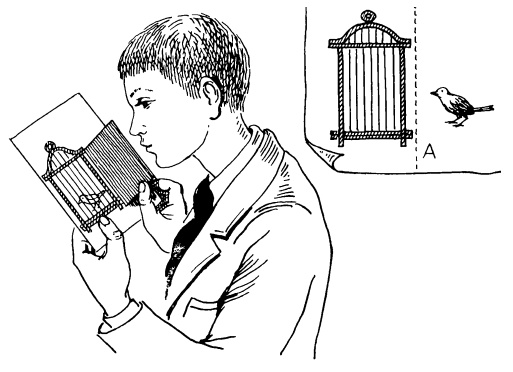 Иллюстрация к книге — Головоломки профессора Головоломки: сборник загадок, фокусов и занимательных задач [i_040.jpg]