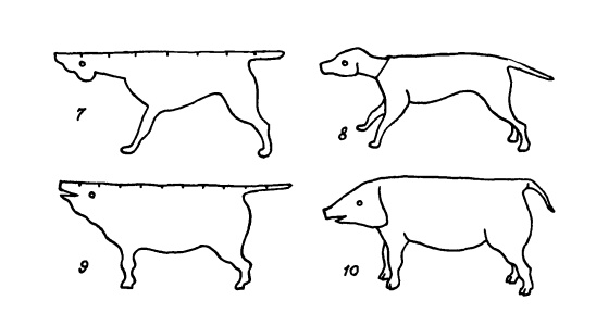 Иллюстрация к книге — Головоломки профессора Головоломки: сборник загадок, фокусов и занимательных задач [i_060.jpg]