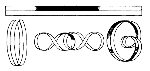 Иллюстрация к книге — Головоломки профессора Головоломки: сборник загадок, фокусов и занимательных задач [i_110.jpg]