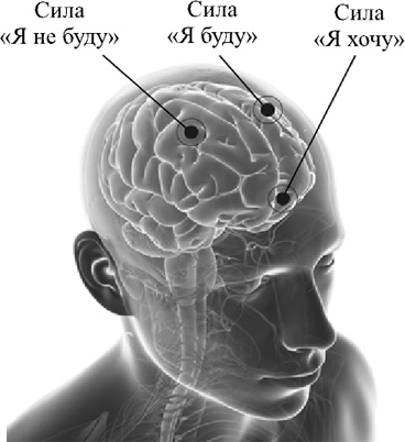 Иллюстрация к книге — Ультиматум удовольствия [i_008.jpg]