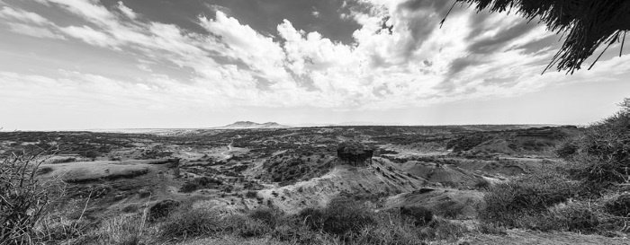 Иллюстрация к книге — Тайны эволюции [i_006.jpg]