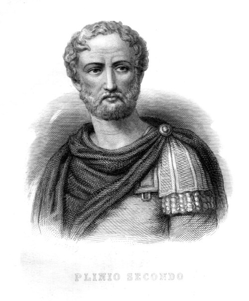 Иллюстрация к книге — Тайны эволюции [i_012.jpg]