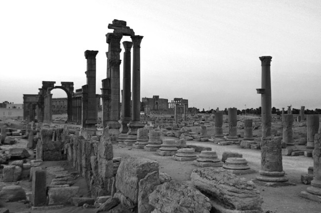 Иллюстрация к книге — Тайны эволюции [i_015.jpg]