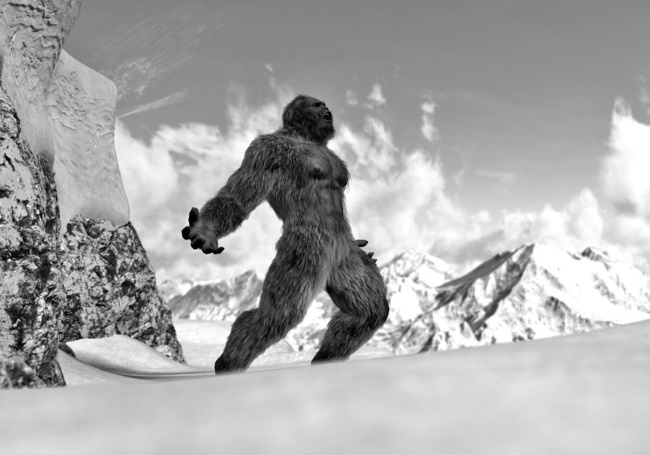 Иллюстрация к книге — Тайны эволюции [i_020.jpg]