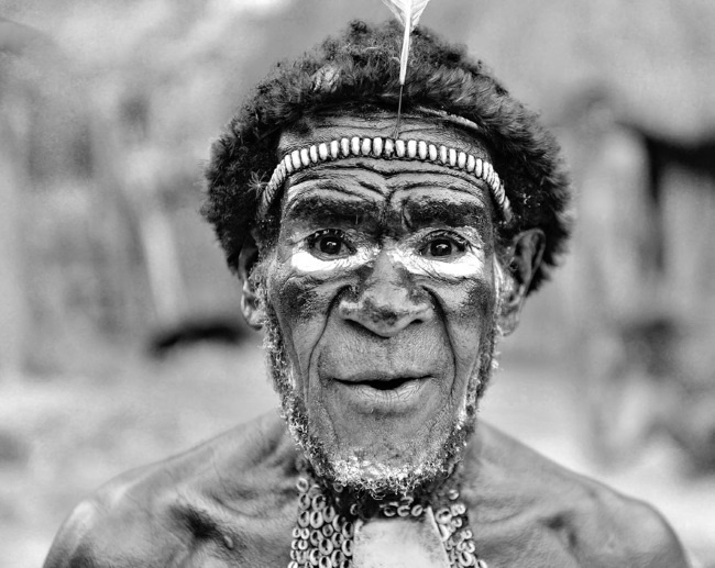 Иллюстрация к книге — Тайны эволюции [i_029.jpg]