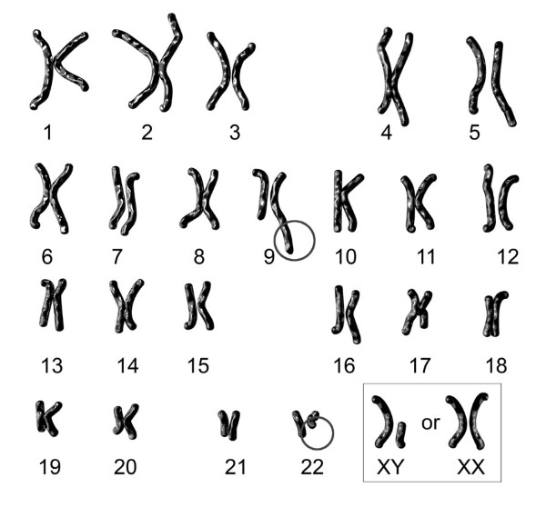 Иллюстрация к книге — Тайны эволюции [i_030.jpg]
