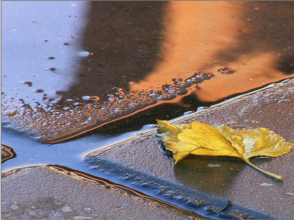 Иллюстрация к книге — Вечная осень [i_004.jpg]