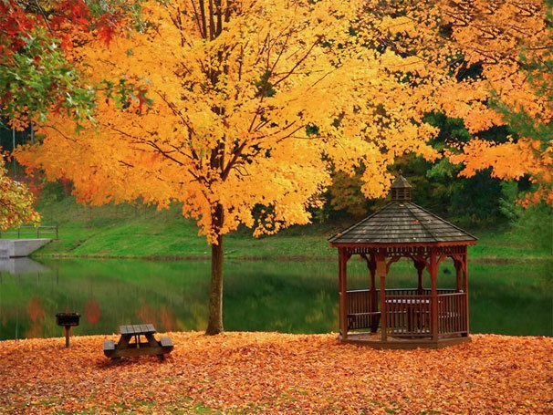 Иллюстрация к книге — Вечная осень [i_015.jpg]