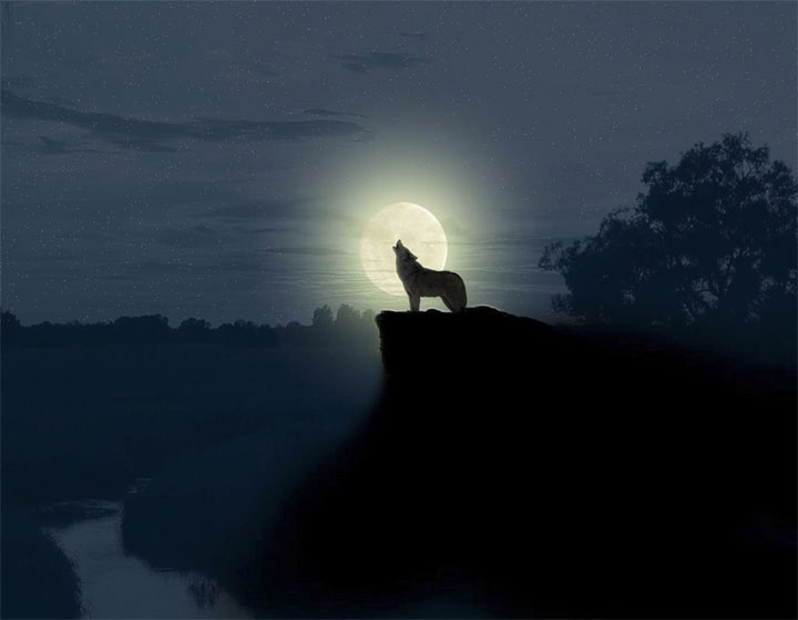 Иллюстрация к книге — Вечная осень [i_024.jpg]