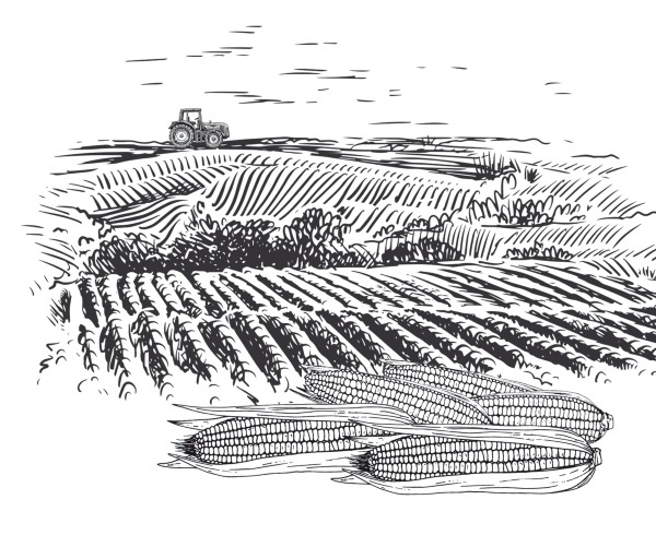 Иллюстрация к книге — Дилемма всеядного: шокирующее исследование рациона современного человека [i_005.jpg]