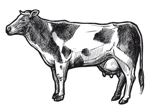 Иллюстрация к книге — Дилемма всеядного: шокирующее исследование рациона современного человека [i_007.jpg]