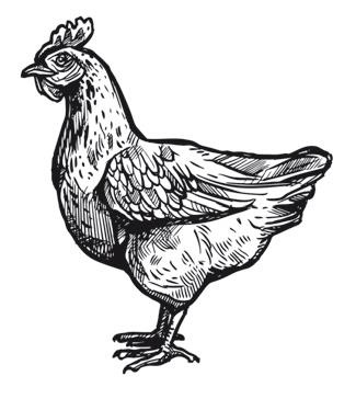 Иллюстрация к книге — Дилемма всеядного: шокирующее исследование рациона современного человека [i_011.jpg]