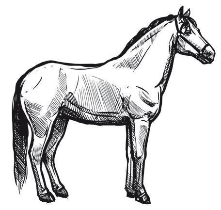 Иллюстрация к книге — Дилемма всеядного: шокирующее исследование рациона современного человека [i_015.jpg]