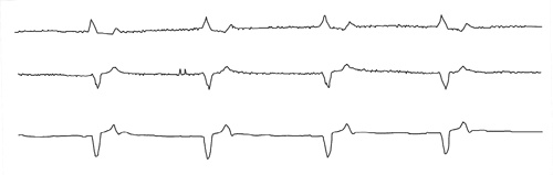 Иллюстрация к книге — Никто, кроме вас. Рассказы, которые могут спасти жизнь [i_003.jpg]