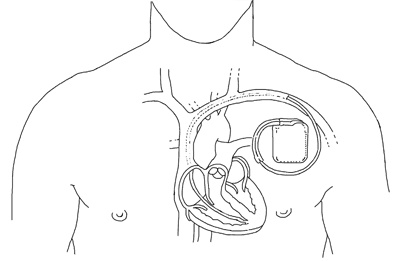 Иллюстрация к книге — Никто, кроме вас. Рассказы, которые могут спасти жизнь [i_004.jpg]