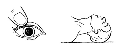 Иллюстрация к книге — Никто, кроме вас. Рассказы, которые могут спасти жизнь [i_019.jpg]