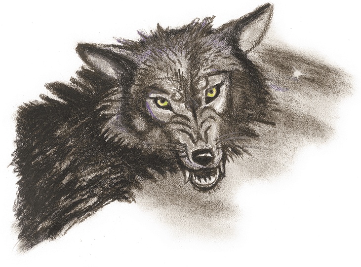 Иллюстрация к книге — Принцесса Линдагуль и другие сказки [i_006.jpg]