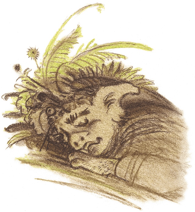 Иллюстрация к книге — Принцесса Линдагуль и другие сказки [i_020.jpg]