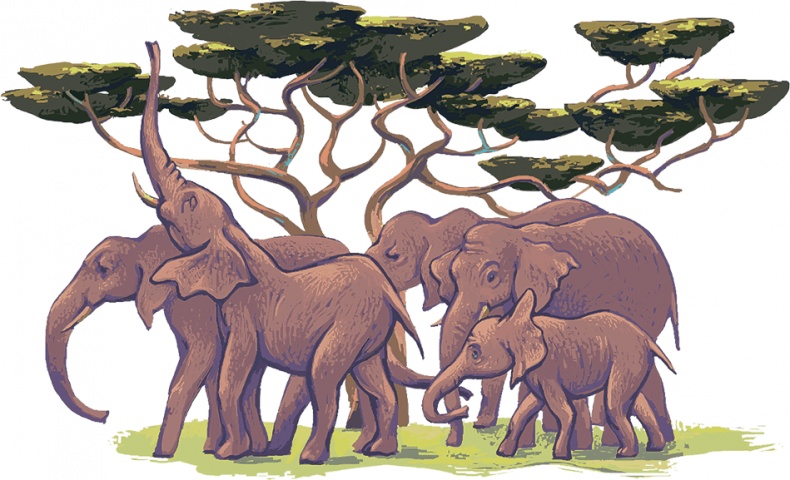 Иллюстрация к книге — Рассказы просто так (сборник) [i_006.jpg]