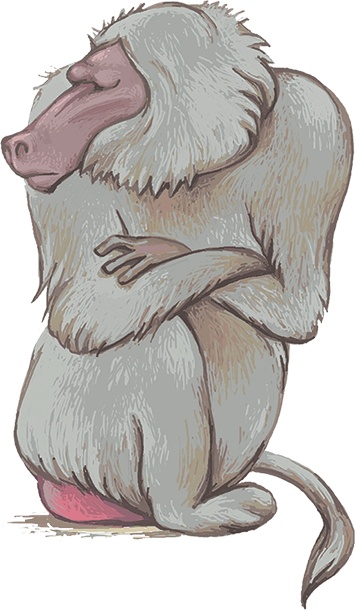 Иллюстрация к книге — Рассказы просто так (сборник) [i_008.jpg]