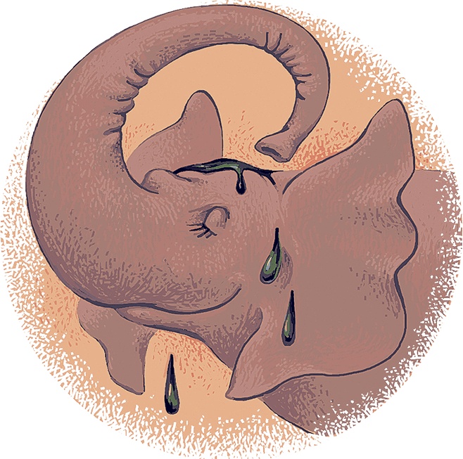 Иллюстрация к книге — Рассказы просто так (сборник) [i_016.jpg]