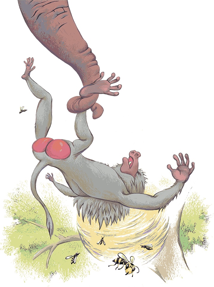 Иллюстрация к книге — Рассказы просто так (сборник) [i_018.jpg]