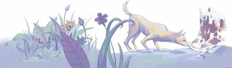 Иллюстрация к книге — Рассказы просто так (сборник) [i_023.jpg]