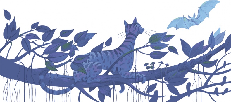 Иллюстрация к книге — Рассказы просто так (сборник) [i_029.jpg]