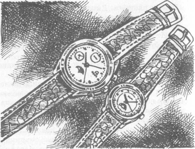 Иллюстрация к книге — В поисках бриллиантовой диадемы [doc2fb_image_0200000e.jpg]