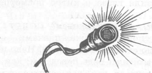 Иллюстрация к книге — В поисках бриллиантовой диадемы [doc2fb_image_02000014.jpg]