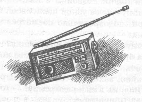 Иллюстрация к книге — В поисках бриллиантовой диадемы [doc2fb_image_02000018.jpg]