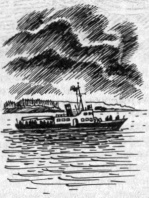 Иллюстрация к книге — Тайна наглой сороки [doc2fb_image_03000007.jpg]