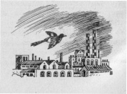 Иллюстрация к книге — Тайна наглой сороки [doc2fb_image_03000017.jpg]