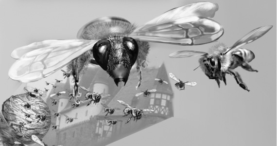 Иллюстрация к книге — Коллекция в бегах [spusk.jpg]