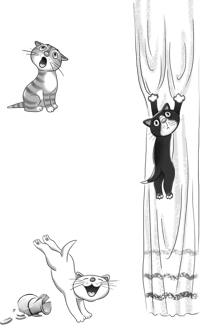 Иллюстрация к книге — Череп в клубнике и другие тайны Тополиной дачи [i_003.jpg]