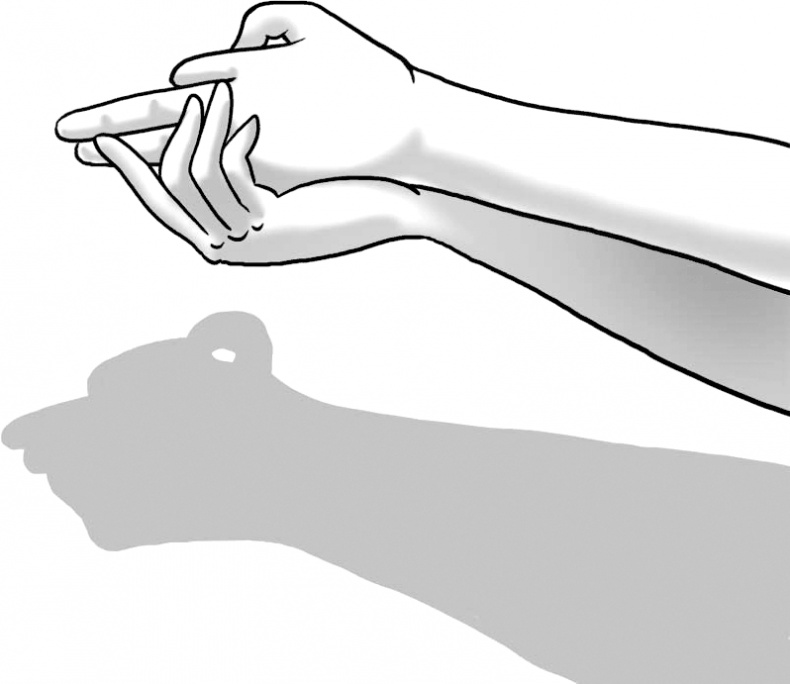 Иллюстрация к книге — Череп в клубнике и другие тайны Тополиной дачи [i_006.jpg]